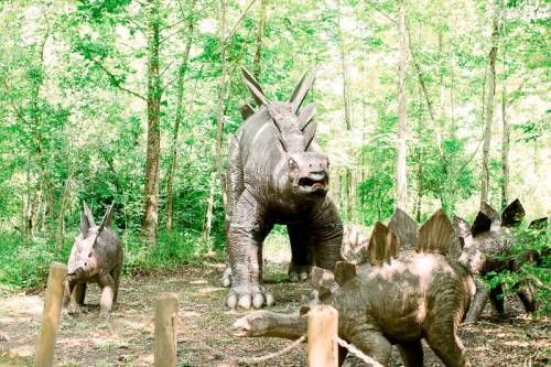 A group of dinosaur sculptures, including a large spiked dinosaur and smaller ones, set in a lush green forest.
