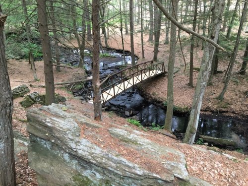 A wooden bridge spans a small stream in a forest, surrounded by trees and rocky terrain.