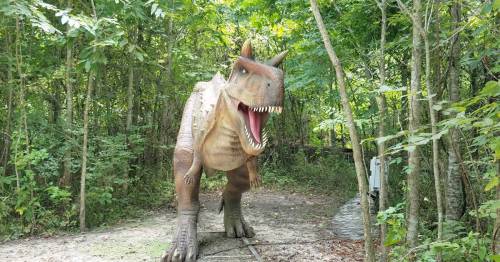 A large dinosaur statue stands in a forested area, with trees surrounding it and a path in the foreground.