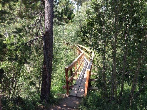 A wooden bridge surrounded by lush greenery and trees, leading through a peaceful forest path.