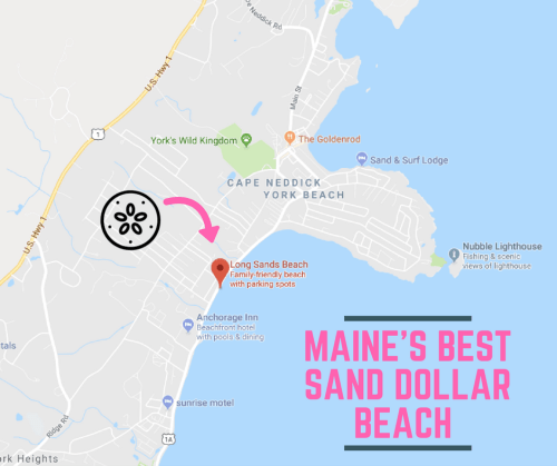 Map highlighting Long Sands Beach in York, Maine, noted as the best spot for sand dollars, with parking available.