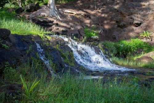 A small waterfall cascades over rocks, surrounded by lush green grass and plants in a serene natural setting.