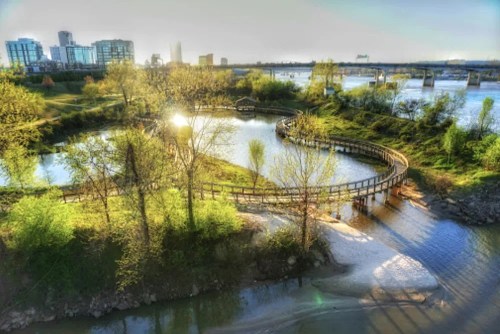 A scenic view of a winding river surrounded by greenery and modern buildings in the background, illuminated by sunlight.