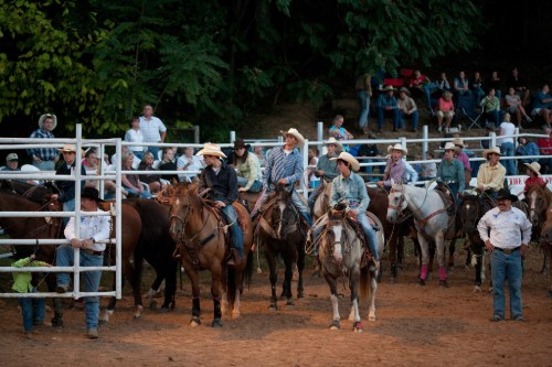 A group of cowboys and cowgirls on horseback at a rodeo, with an audience in the background.