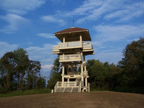 A tall wooden observation tower surrounded by trees under a blue sky with scattered clouds.