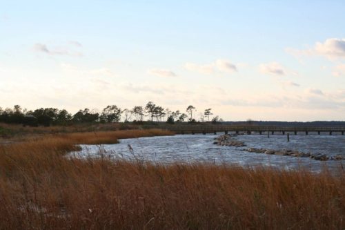 A serene landscape featuring a calm waterway, grassy shore, and distant trees under a cloudy sky.