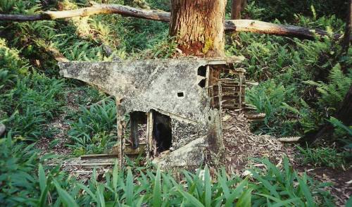 A weathered, partially collapsed structure covered in moss and surrounded by lush greenery and ferns.