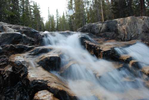 A serene waterfall cascades over rocky terrain, surrounded by lush evergreen trees in a tranquil forest setting.