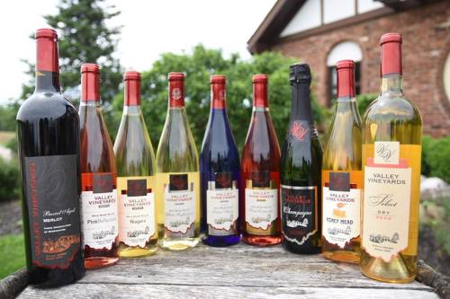 A variety of wine bottles displayed outdoors, including red, white, and sparkling wines from Valley Vineyards.