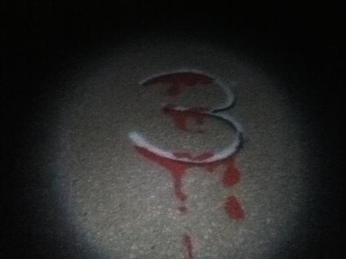 A dark image showing the number "3" painted in white with red splatters on a surface, illuminated by a flashlight.