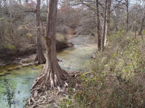 A serene river flows through a wooded area, with trees and greenery lining the banks.