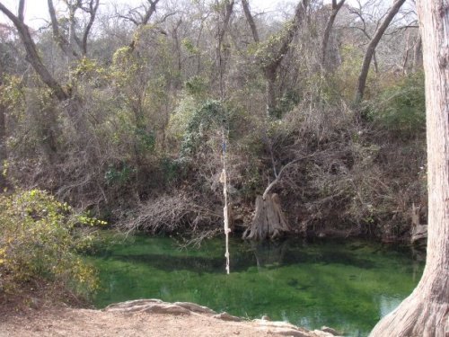 A serene riverbank scene with green water, surrounded by trees and sparse vegetation. A rope swing hangs from a tree.
