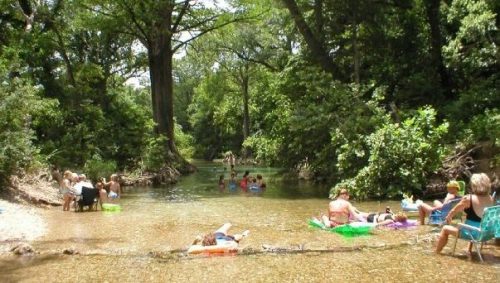 People relaxing and floating in a serene, tree-lined river on a sunny day.