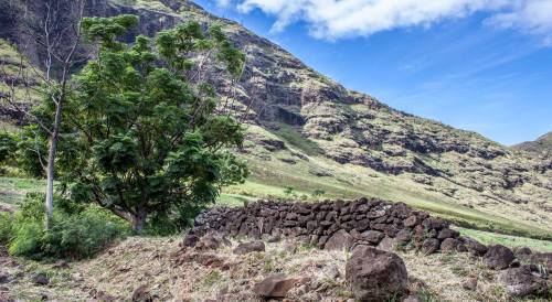 Lush green landscape with a stone wall, trees, and mountains under a blue sky with scattered clouds.