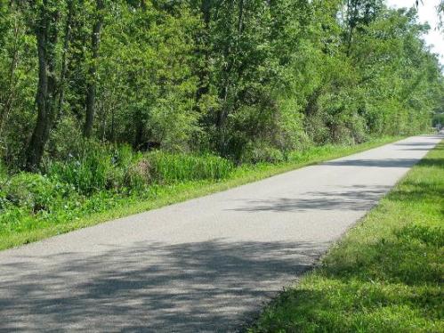 A paved path surrounded by lush greenery and trees, leading through a peaceful natural setting.