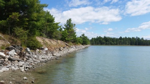A serene lakeside view with rocky shorelines and lush green trees under a partly cloudy sky.