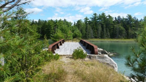 A wooden bridge extends over calm water, surrounded by lush green trees and a clear blue sky.