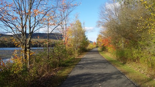 A scenic pathway lined with trees in autumn colors, alongside a calm body of water under a clear blue sky.