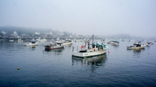 A foggy harbor filled with various fishing boats, surrounded by a misty landscape and calm water.