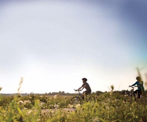 Two cyclists ride along a path surrounded by tall grass and wildflowers under a clear blue sky.