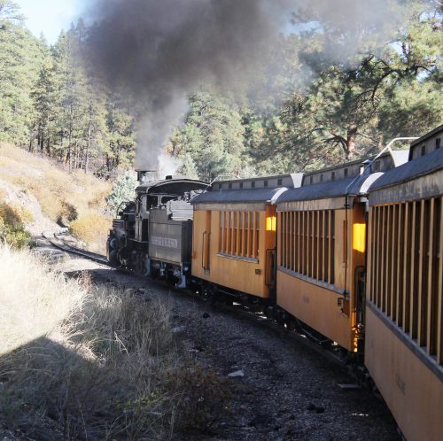 A steam train chugs along a forested track, billowing smoke amidst trees and golden autumn foliage.