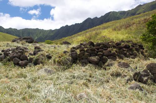 A grassy landscape with stone formations and mountains in the background under a partly cloudy sky.