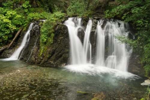 A serene waterfall cascading over rocks into a clear pool, surrounded by lush green foliage and trees.