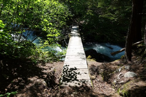 A wooden bridge spans a rushing stream, surrounded by lush greenery and dappled sunlight.
