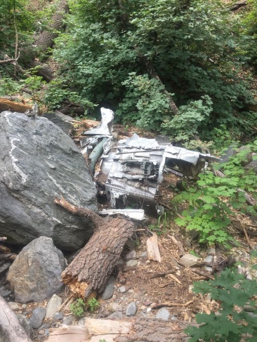 A piece of metallic debris partially hidden among rocks and trees in a forested area.