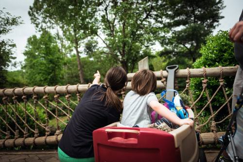 Two children in a wagon point towards a tree, surrounded by greenery and a wooden fence.