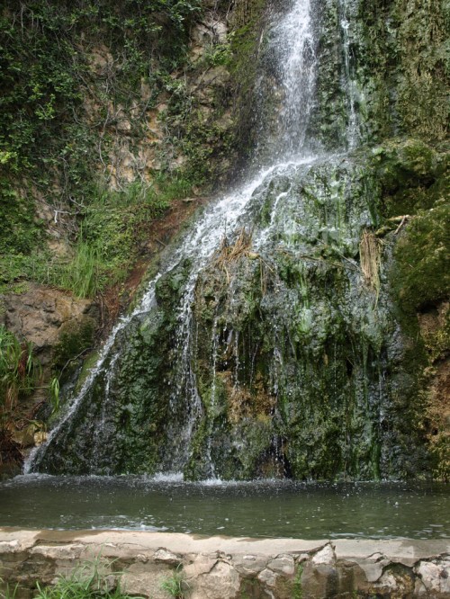 A lush waterfall cascading down rocky terrain into a serene pool surrounded by greenery.