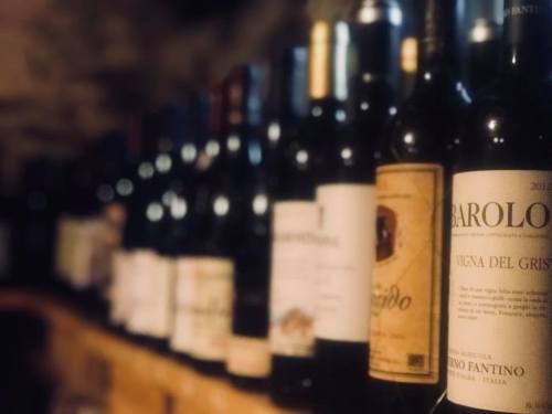 A close-up of various wine bottles lined up on a shelf, showcasing different labels and colors in a dimly lit setting.