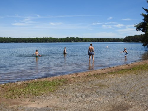 Four people wade in a calm lake on a sunny day, with trees lining the shore in the background.