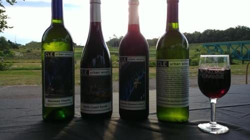 Four bottles of wine with labels, alongside a glass of red wine, set against a scenic outdoor background.