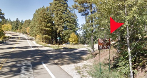 A road sign for "Butterfield Trail" near a wooded area, with a road curving to the left.