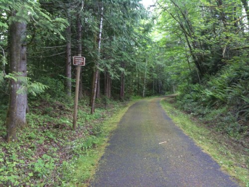 A winding path through a lush green forest, with trees lining both sides and a signpost visible ahead.