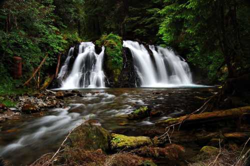 A serene waterfall cascades over rocks into a clear stream, surrounded by lush green trees and mossy logs.