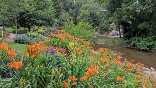 A vibrant garden with orange flowers along a winding river, surrounded by lush greenery and trees.