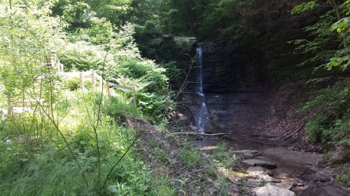 A serene forest scene featuring a small waterfall cascading down rocky terrain, surrounded by lush greenery.