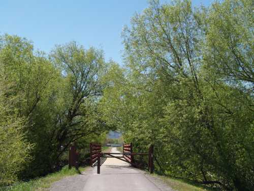 A pathway leads through lush green trees to a wooden gate, opening to a serene landscape under a clear blue sky.