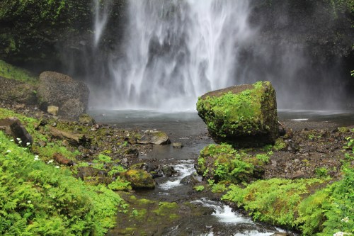 A lush green landscape featuring a waterfall cascading over rocks into a stream, surrounded by vibrant foliage.