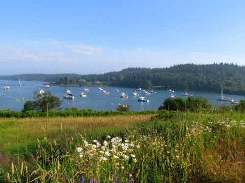 A serene coastal scene with boats anchored in a calm bay, surrounded by lush greenery and wildflowers under a clear blue sky.