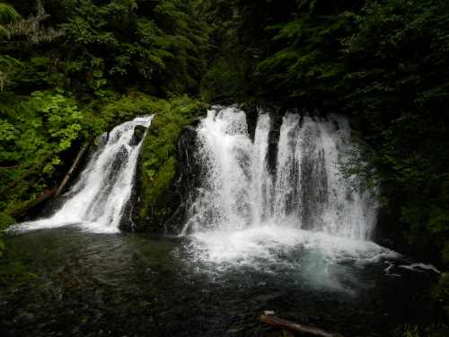 A serene waterfall cascades over rocks, surrounded by lush green foliage in a tranquil forest setting.