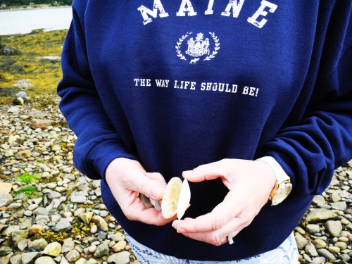A person in a navy sweatshirt holds a small shell while standing on a rocky beach.