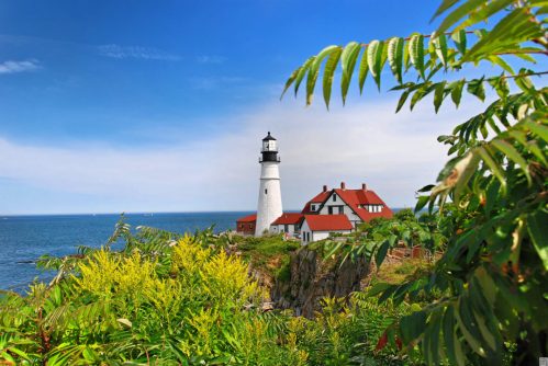 A scenic view of a lighthouse by the ocean, surrounded by lush greenery and a clear blue sky.