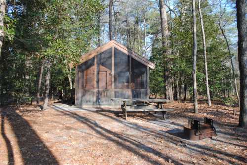 A rustic cabin surrounded by trees, with a picnic table and fire pit in a serene forest setting.