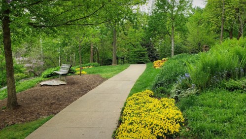 A serene park path lined with vibrant yellow flowers and lush greenery, featuring a bench under the trees.