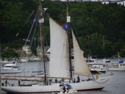 A tall ship with white sails navigates a busy harbor filled with smaller boats and lush green trees in the background.