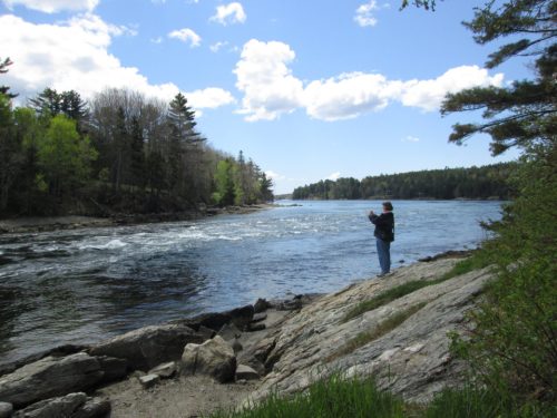 A person stands by a river, surrounded by trees and rocks, under a partly cloudy sky.