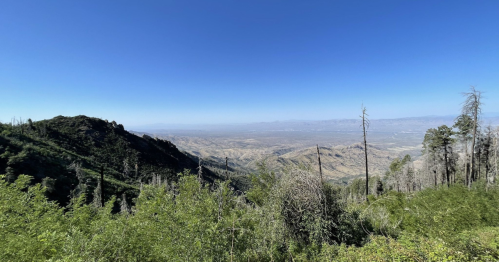 Panoramic view of a mountainous landscape with green foliage and a clear blue sky.